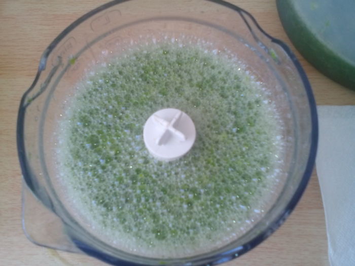 Aloe mixat ptr.macerat 3