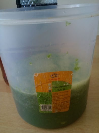 Aloe mixat ptr.macerat 6