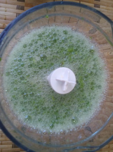 Aloe mixat ptr.macerat