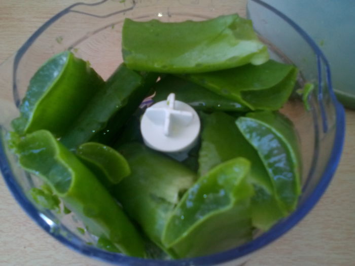 Frunze Aloe ptr. macerat 3