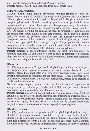 COCHIN PITIC 004 - standard european