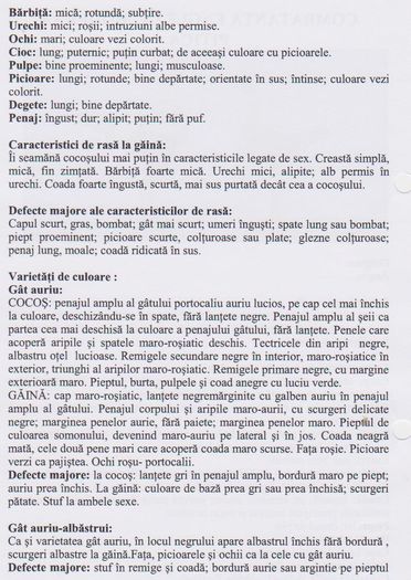 ENGLEZ COMBATANTA MODERNA PITICA 001