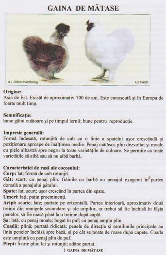 GAINI DE MATASE