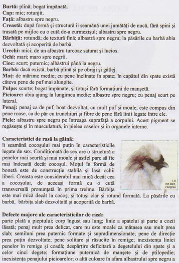 GAINI DE MATASE 001