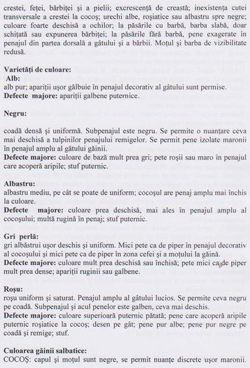 GAINI DE MATASE 002