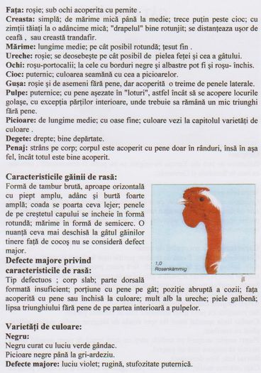 GAT GOLAS 001