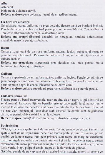 GAT GOLAS 002
