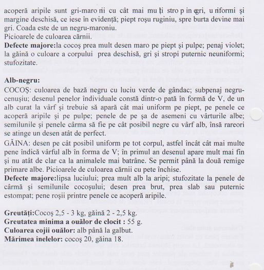 GAT GOLAS 003