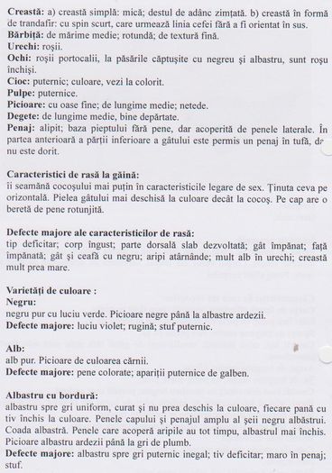 GAT GOLAS PITIC 001
