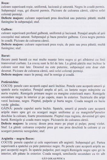 GAT GOLAS PITIC 002