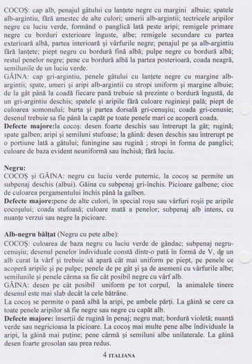 ITALIANA 003