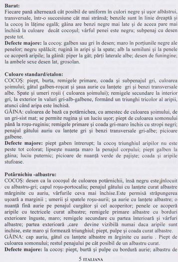 ITALIANA 004
