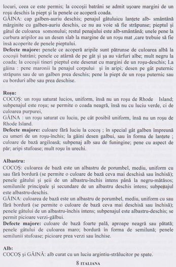 ITALIANA 006