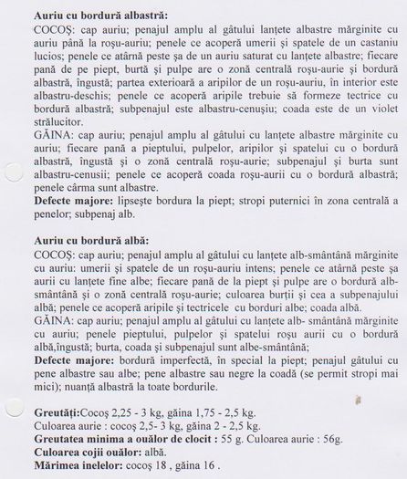 ITALIANA 009