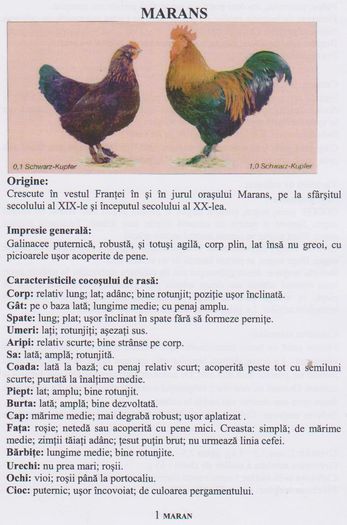 MARANS