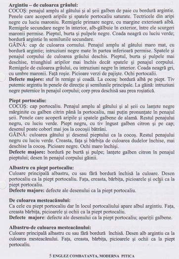 MODERNA PITICA 001