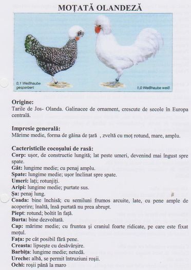 MOTATA OLANDEZA