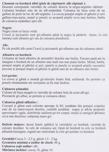 PADUANA 002