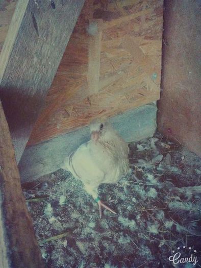 received_1607341319577136