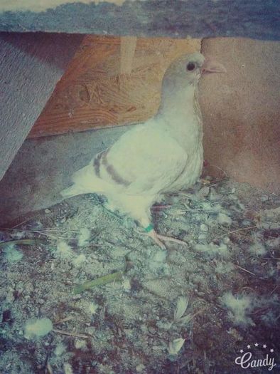 received_1607341309577137