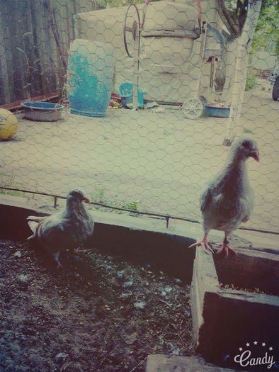 received_1607341039577164