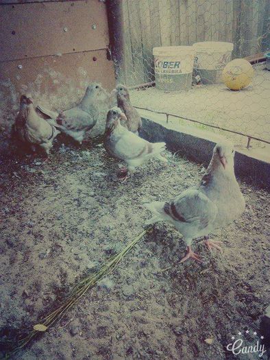 received_1607341226243812