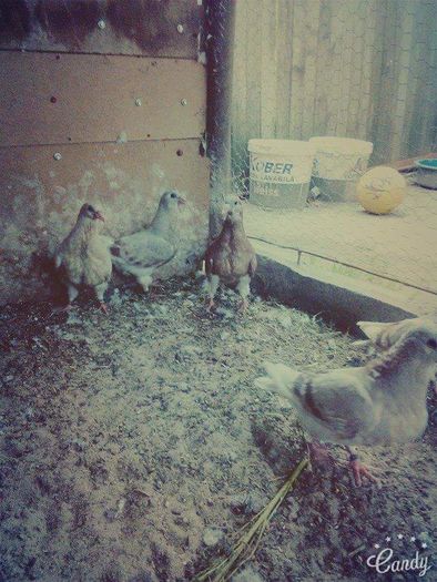 received_1607341266243808