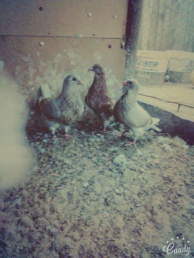 received_1607341269577141