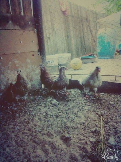 received_1607341296243805