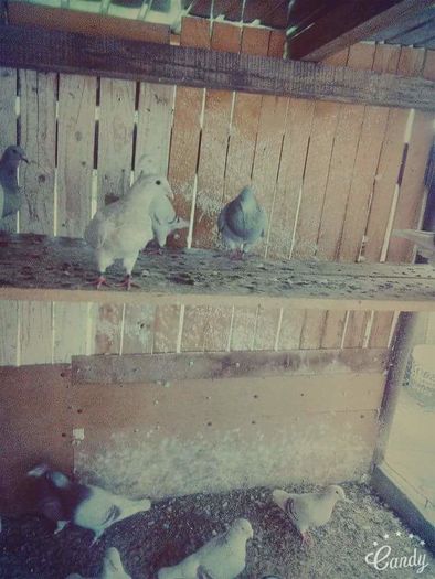 received_1607337569577511