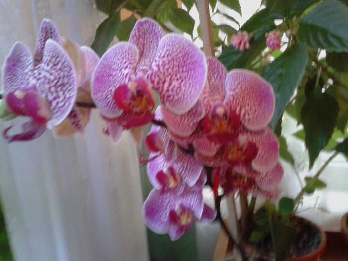 13340841_1051547281584714_213382553_o