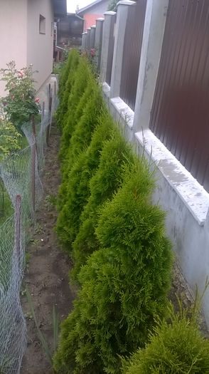 WP_20160601_17_00_06_Pro