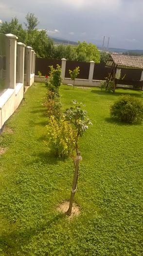 WP_20160601_15_36_08_Pro