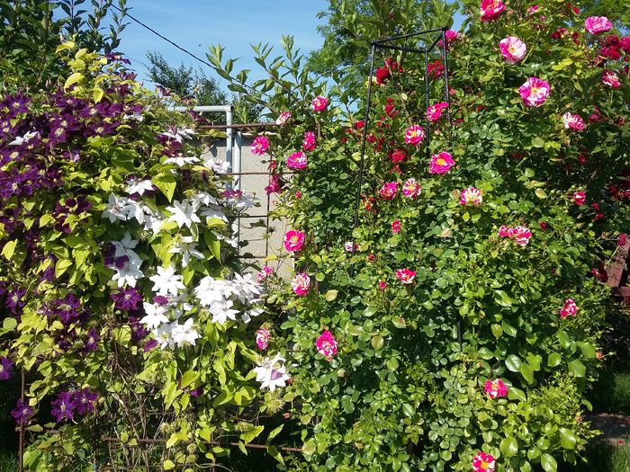 20160601_085026