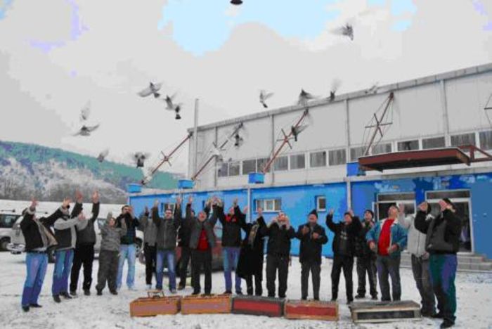 2010; La deschiderea oficiala a expozitiei au fost lansati cativa porumbei voiajori
