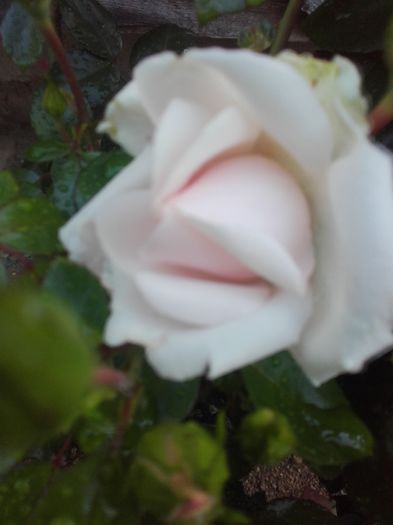 20160602_084335