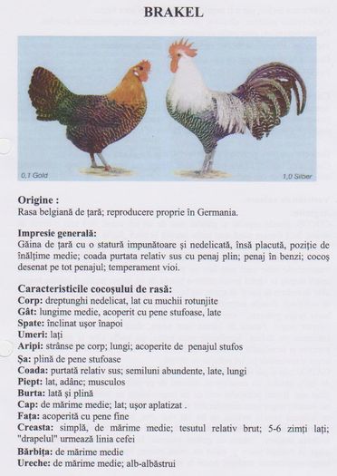 Picture 008 - standard european