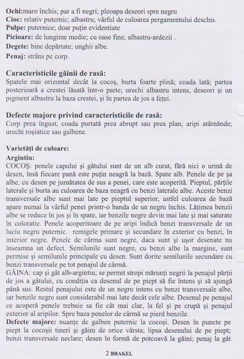 Picture 009 - standard european