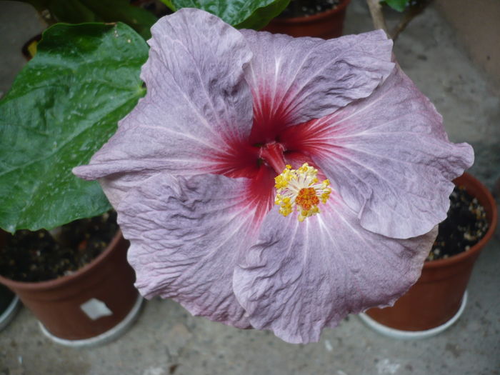P1270013