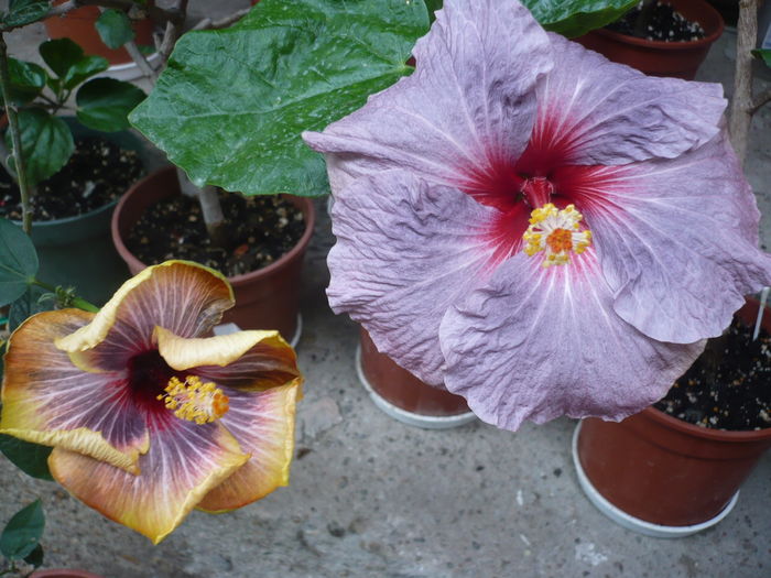 P1270015