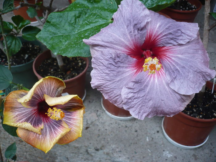 P1270016