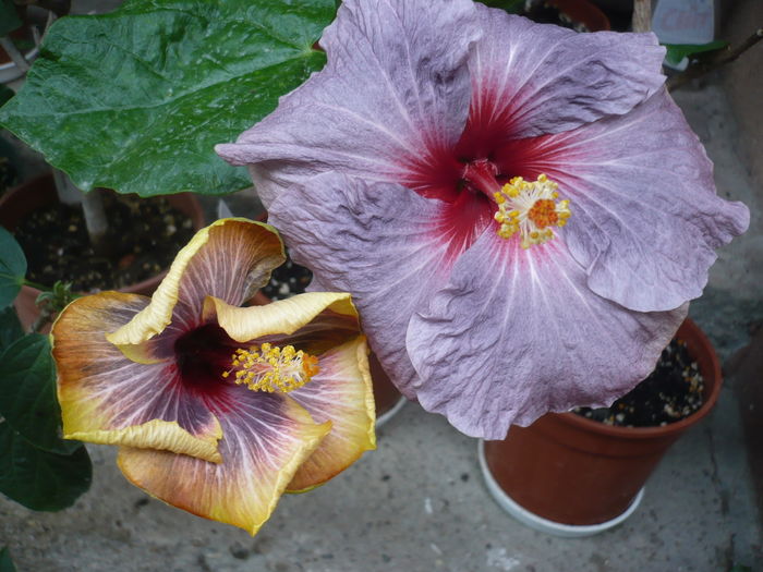 P1270017