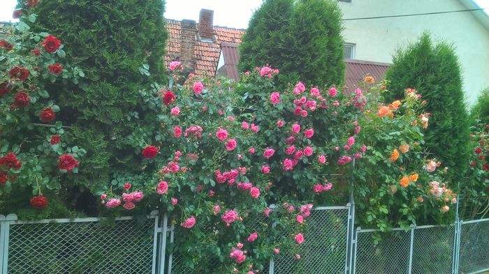 WP_20160602_14_35_55_Pro