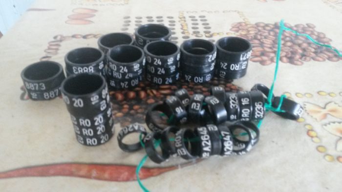 20160602; Le-am cumpărat de la danvopsitoru
