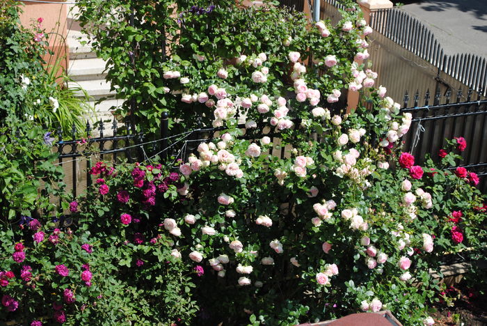 29 mai