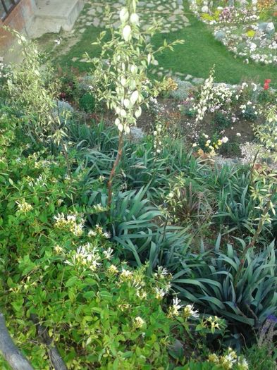 178 - GRADINA MEA inceputuri