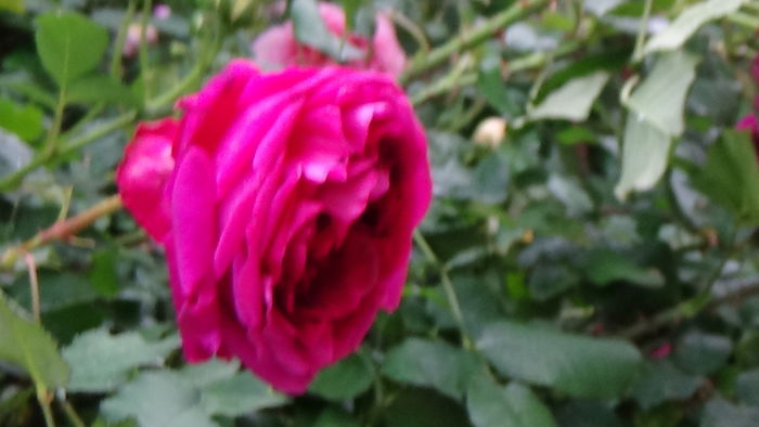 DSC07958