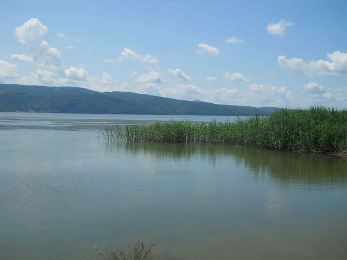 Dunarea in zona Moldova Noua .