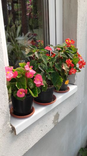 20160603_105157