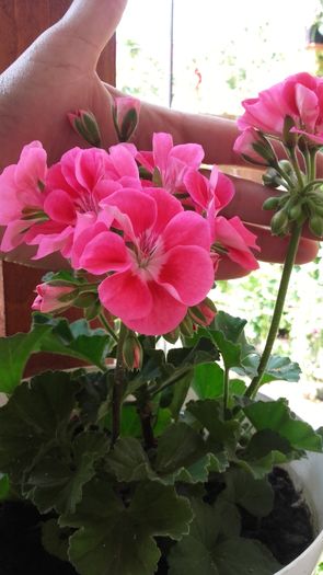 20160603_105358